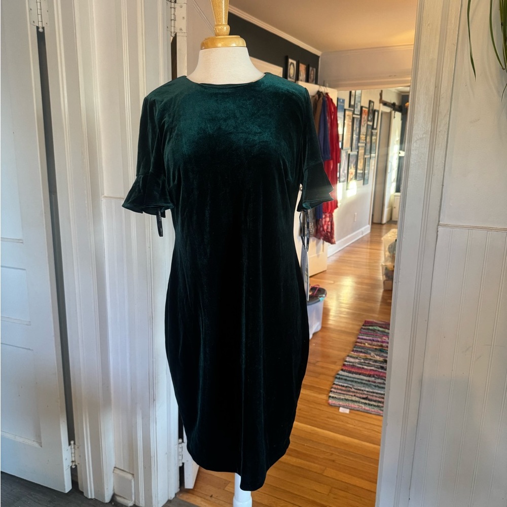 NWT Deep Green Velvet Holiday Dress with Gold Zip Accent